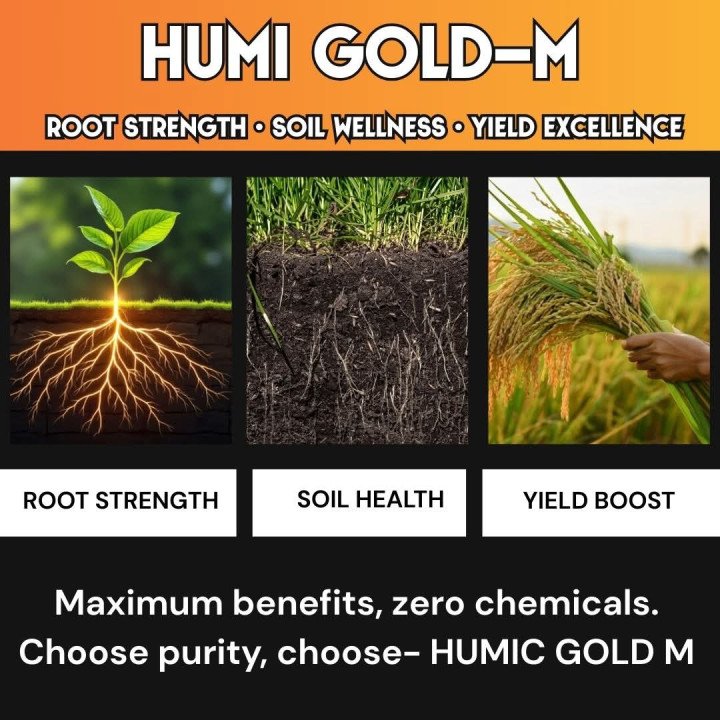 Humi Gold-M Humic Acid 98% (Super Potassium Humate) Biostimulants – thumb